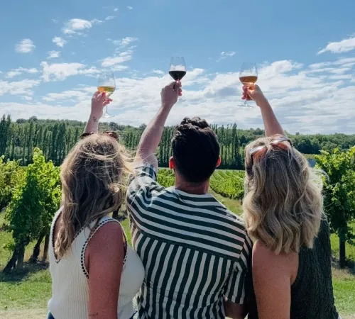 Tour du domaine et dégustation au Domaine du Grand Mayne