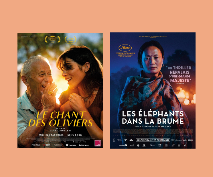 Soirée Cinéma d'Ailleurs - Crédit: Allociné | CC BY-NC-ND 4.0