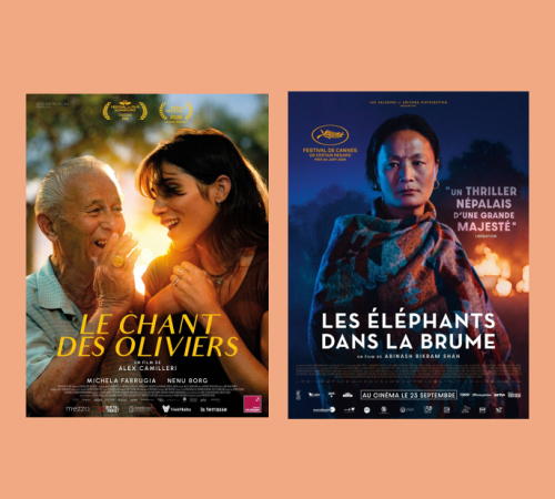 Soirée Cinéma d'Ailleurs