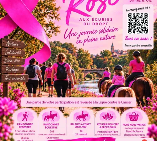Journée Rose