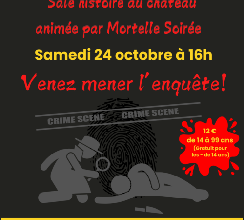 Murder Party « Enquête grandeur nature » !