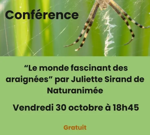 Conférence « Le monde fascinant des araignées » animée par Juliette Sirand