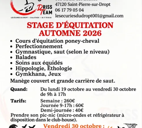 Stage d'équitation et fête d'Halloween