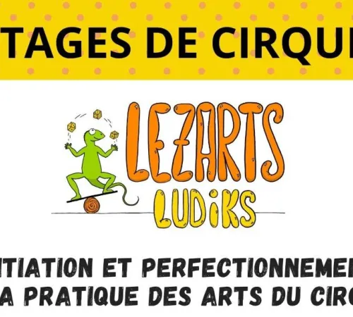 Stage des arts du cirque avec Lezarts Ludiks