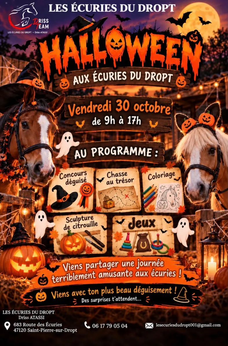 Stage d'équitation Ha ...