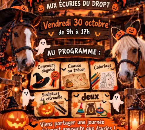 Stage d'équitation Halloween