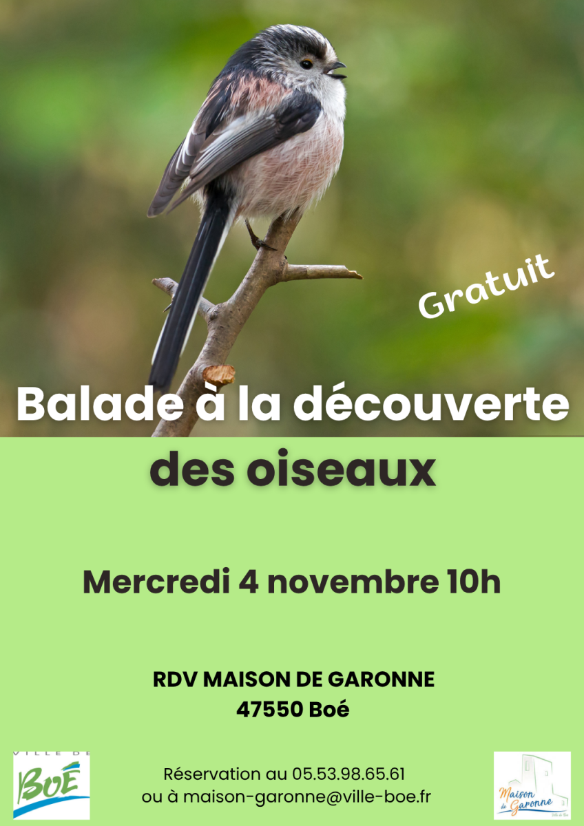 Balade nature à la découverte des oiseaux