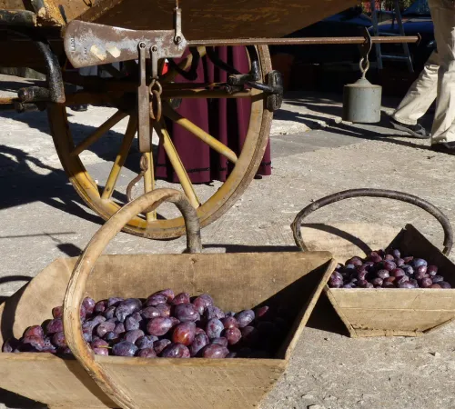 Marché traditionnel