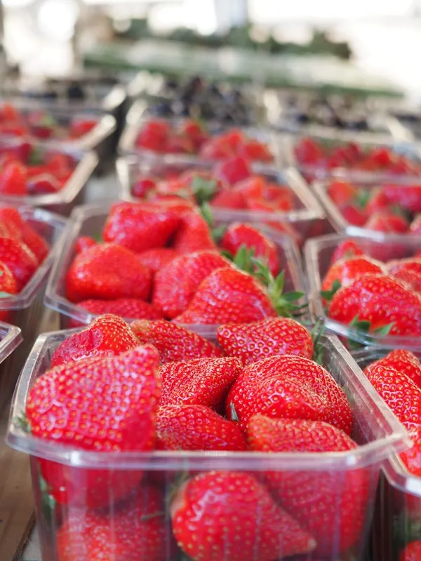 Marché traditionnel - Crédit: OTVG | CC BY-NC-ND 4.0