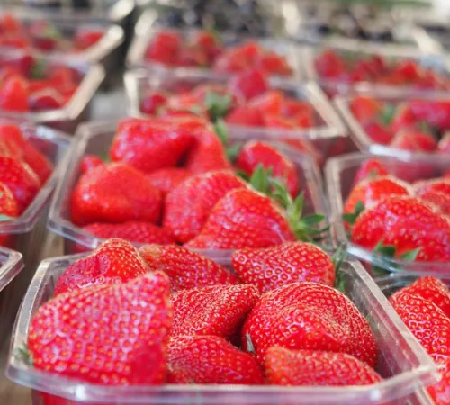 Marché traditionnel