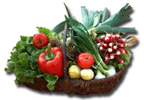 Petit marché traditio ... - Crédit: OTA | CC BY-NC-ND 4.0