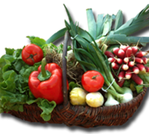 Petit marché traditionnel de Nérac