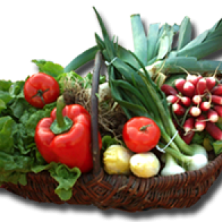 Petit marché traditionnel de Nérac
