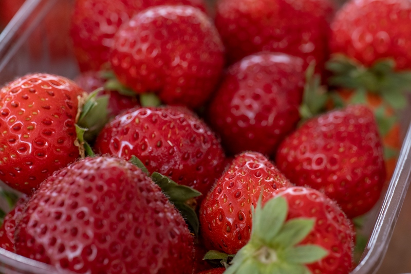 Marché traditionnel - Crédit: WILLIAM PICAMIL | CC BY-NC-ND 4.0