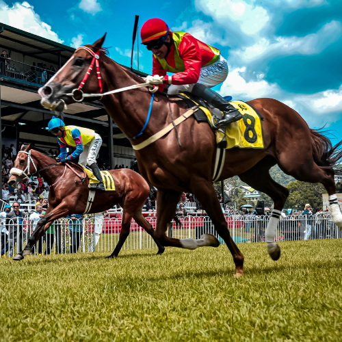 Hippodrome en fête - ... - Crédit: ©otpl | CC BY-NC-ND 4.0