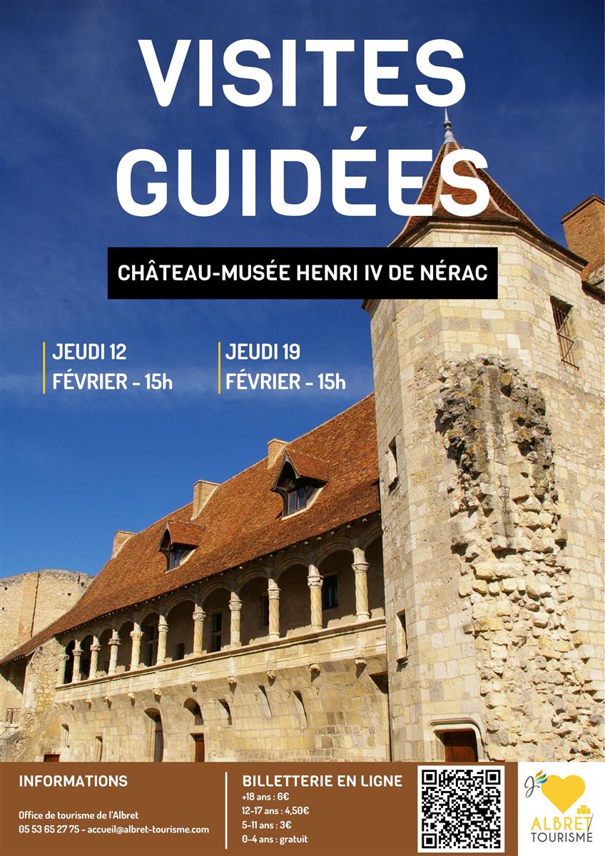 Visites guidées du Château-Musée Henri IV pour ...