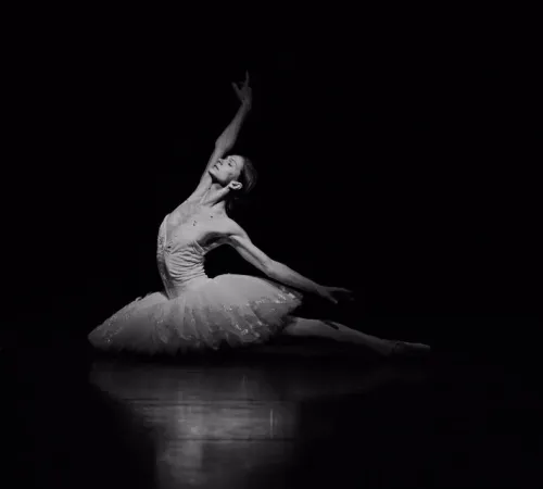 La Nuit de la Danse