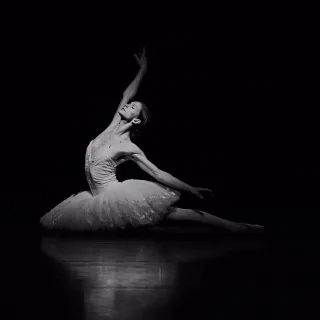 La Nuit de la Danse