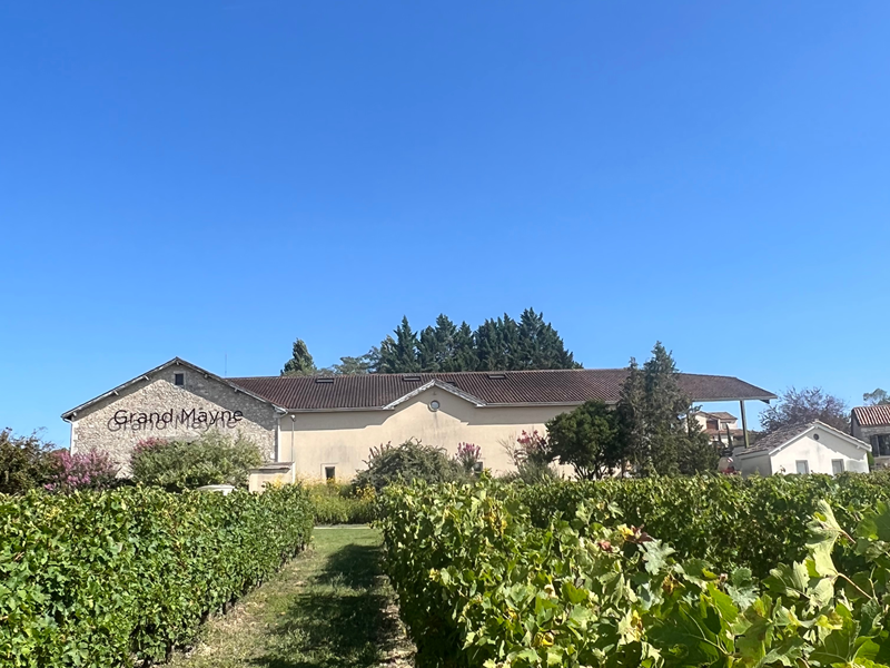 Tour du domaine et dé ... - Crédit: Domaine Grand Mayne 2024 | CC BY-NC-ND 4.0