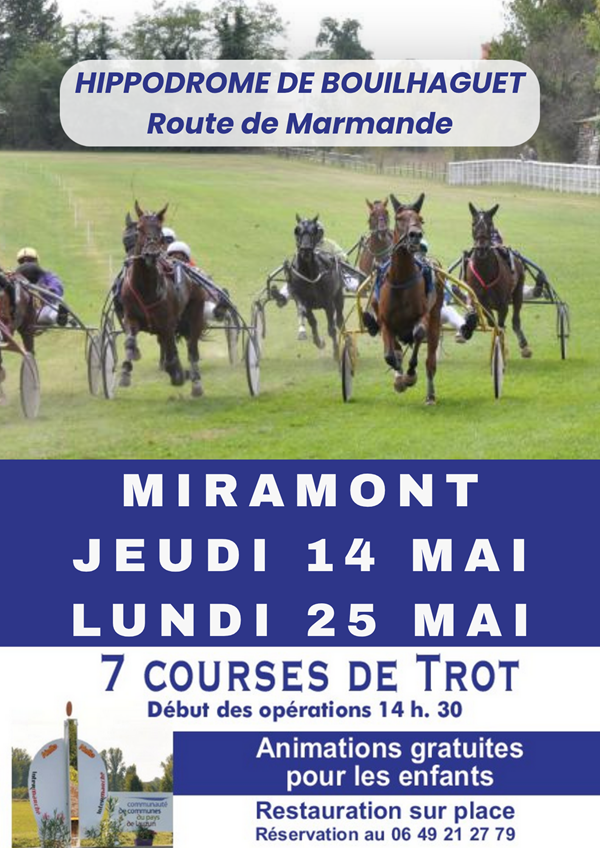 Courses hippiques diurnes