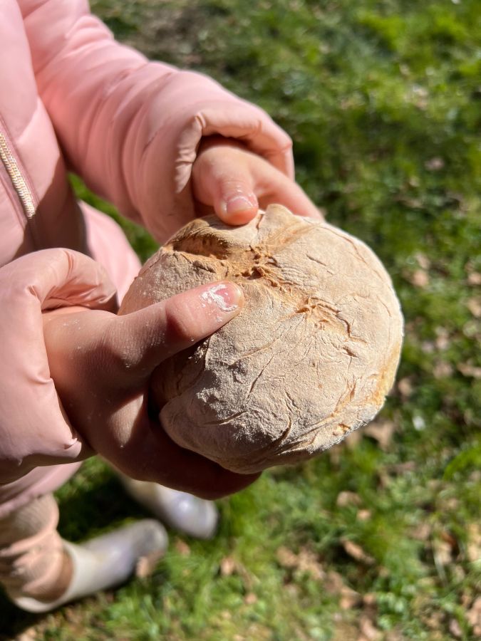 Animation nature en famille : Tissage Végétal