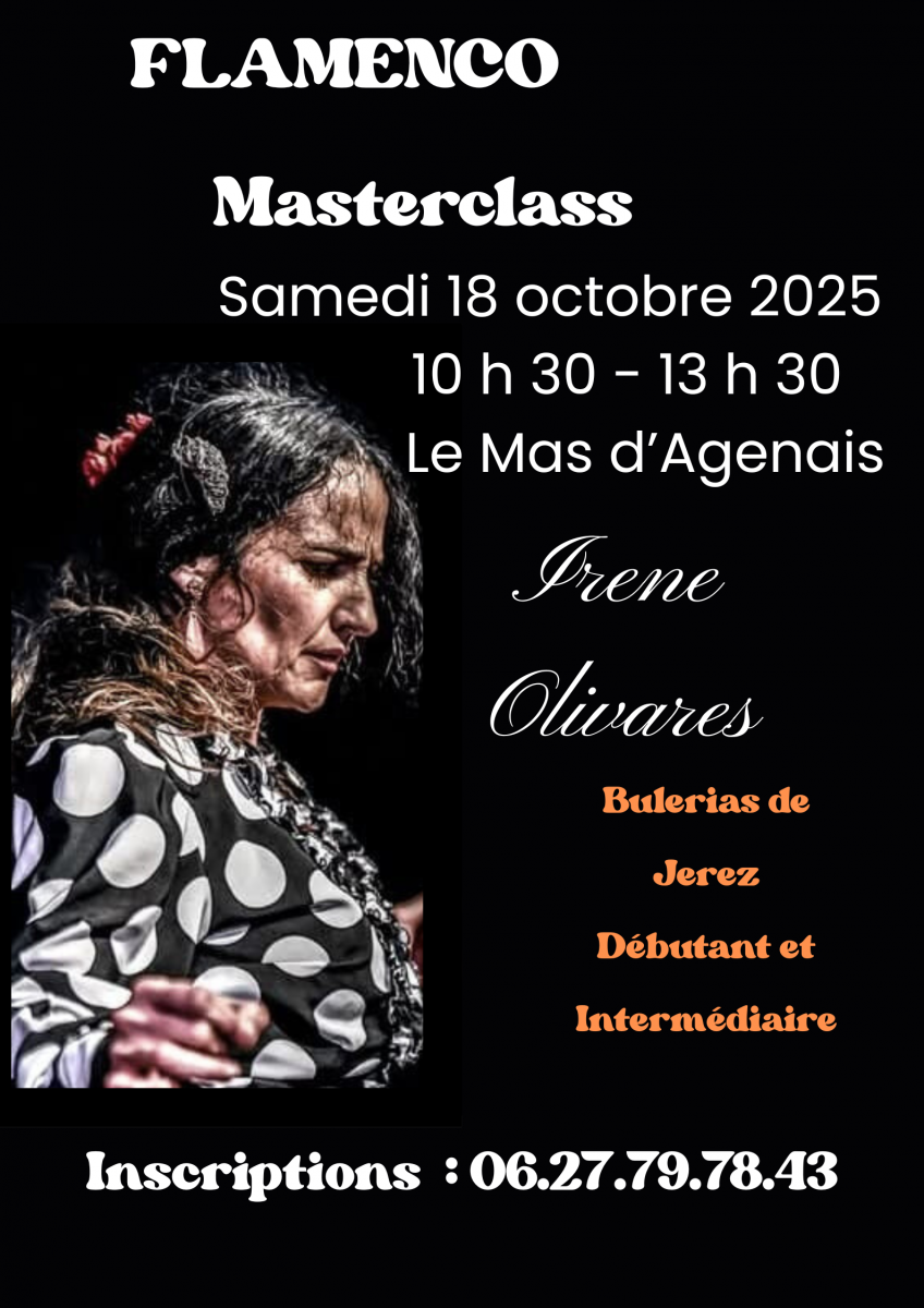 MASTERCLASS de Flamenco