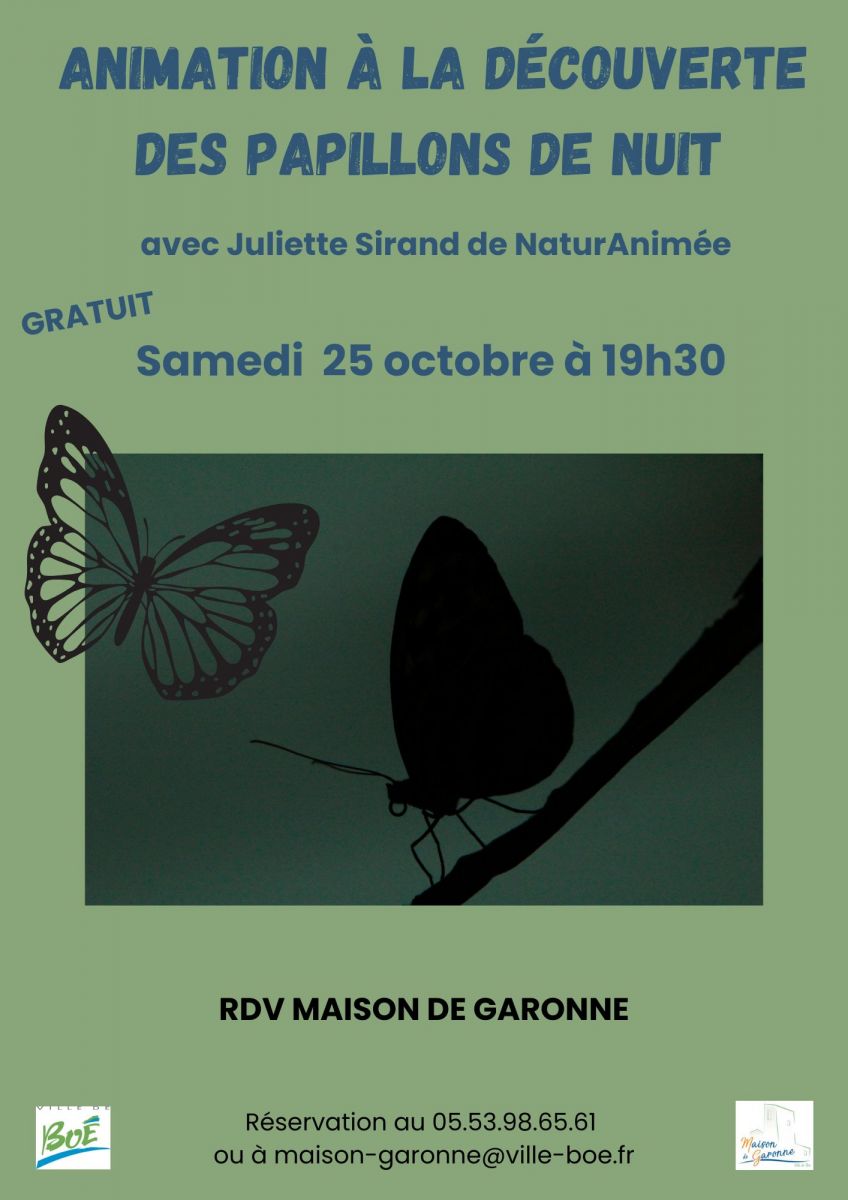 Animation à la découverte des papillons de nuit