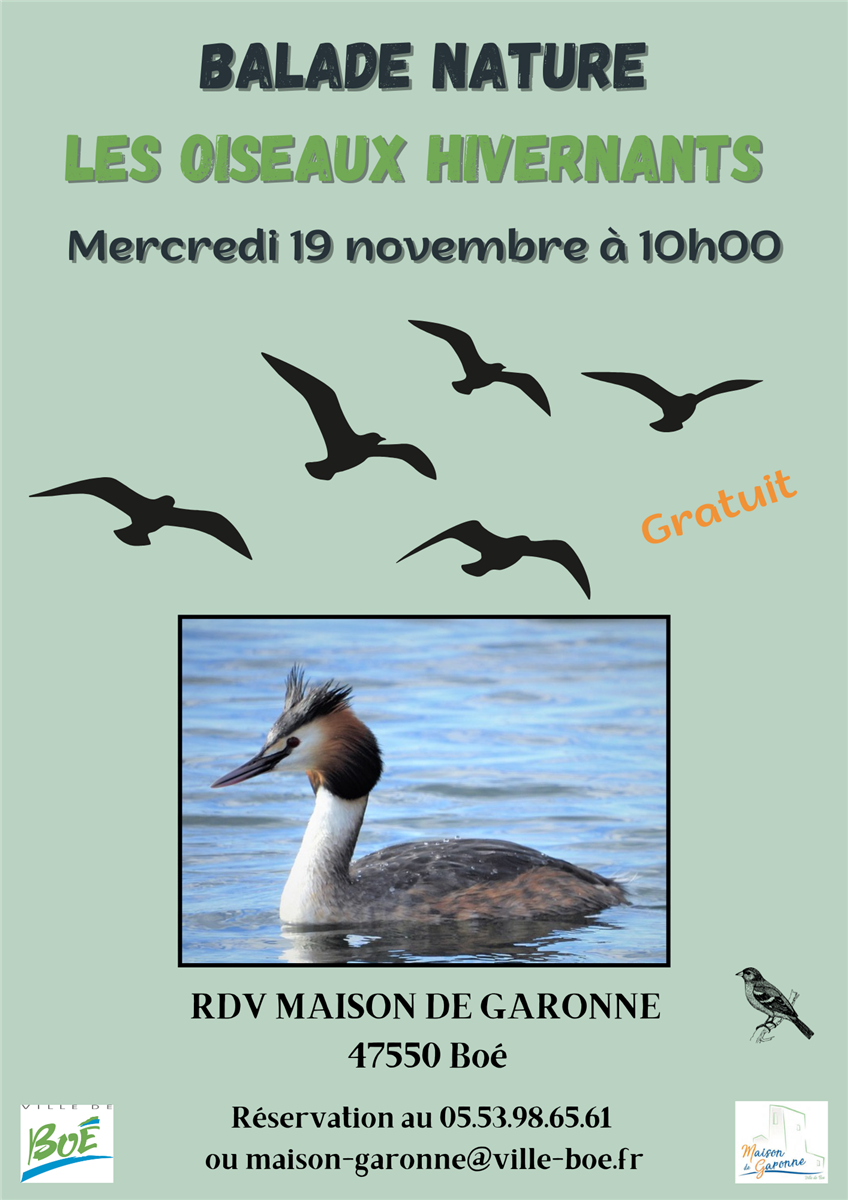 Balade nature sur les oiseaux hivernants