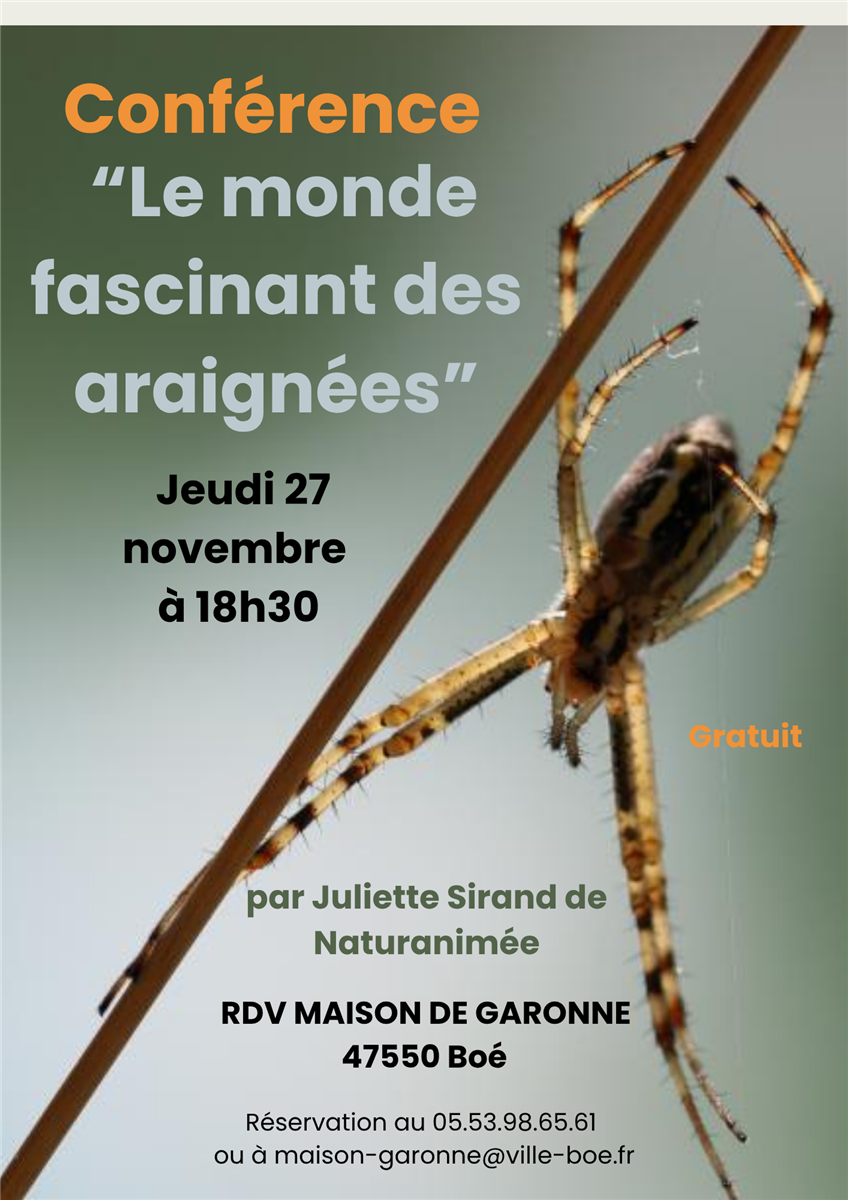 Conférence "le monde fascinant des araignées"