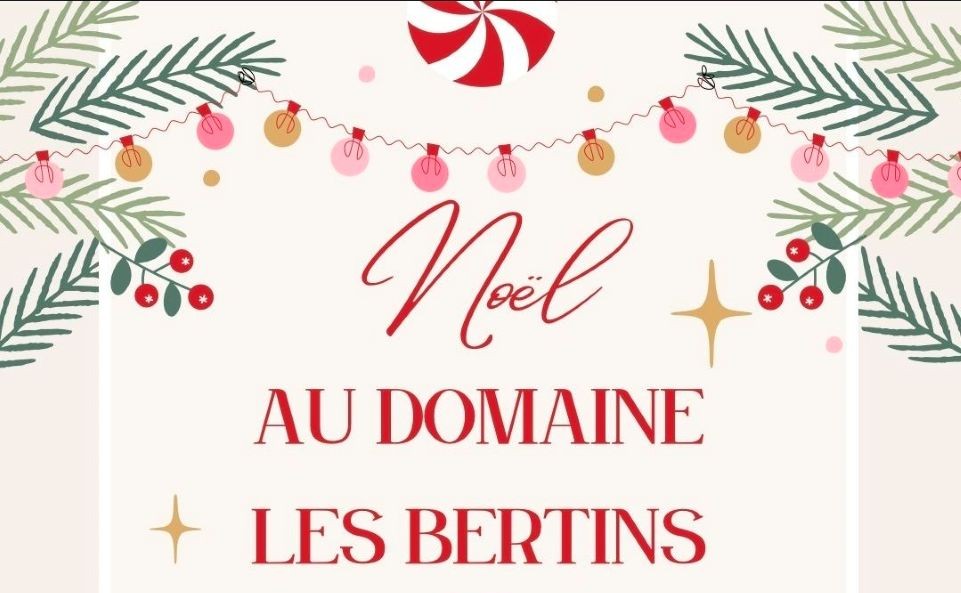 Le Noël du Domaine les Bertins