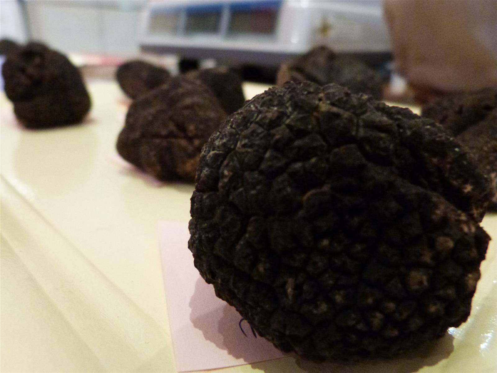 Marché aux truffes fraîches et contrôlées