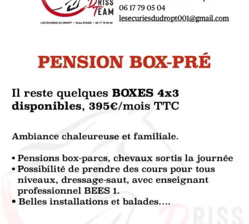 BOXES pour chevaux