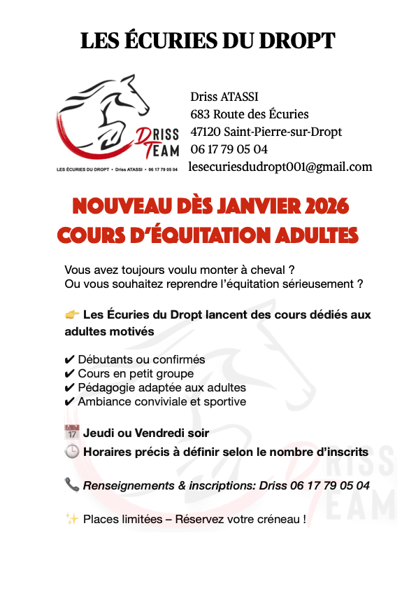 Cours d'équitation pour adultes
