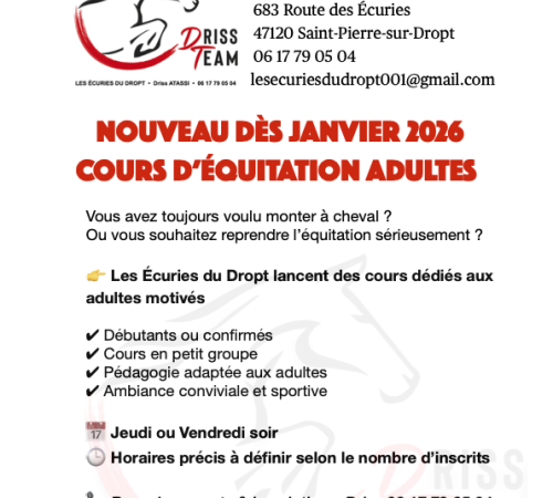 Cours d'équitation pour adultes