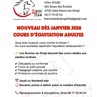 Cours d'équitation pour adultes