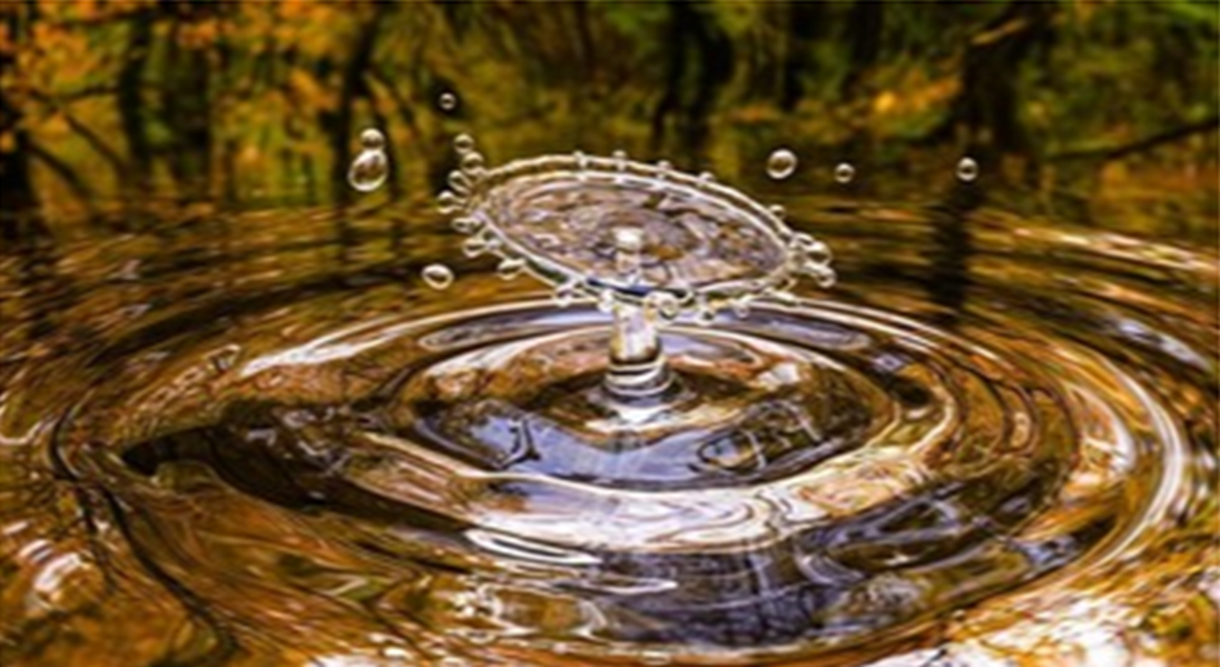 Exposition sur le thème de l'eau