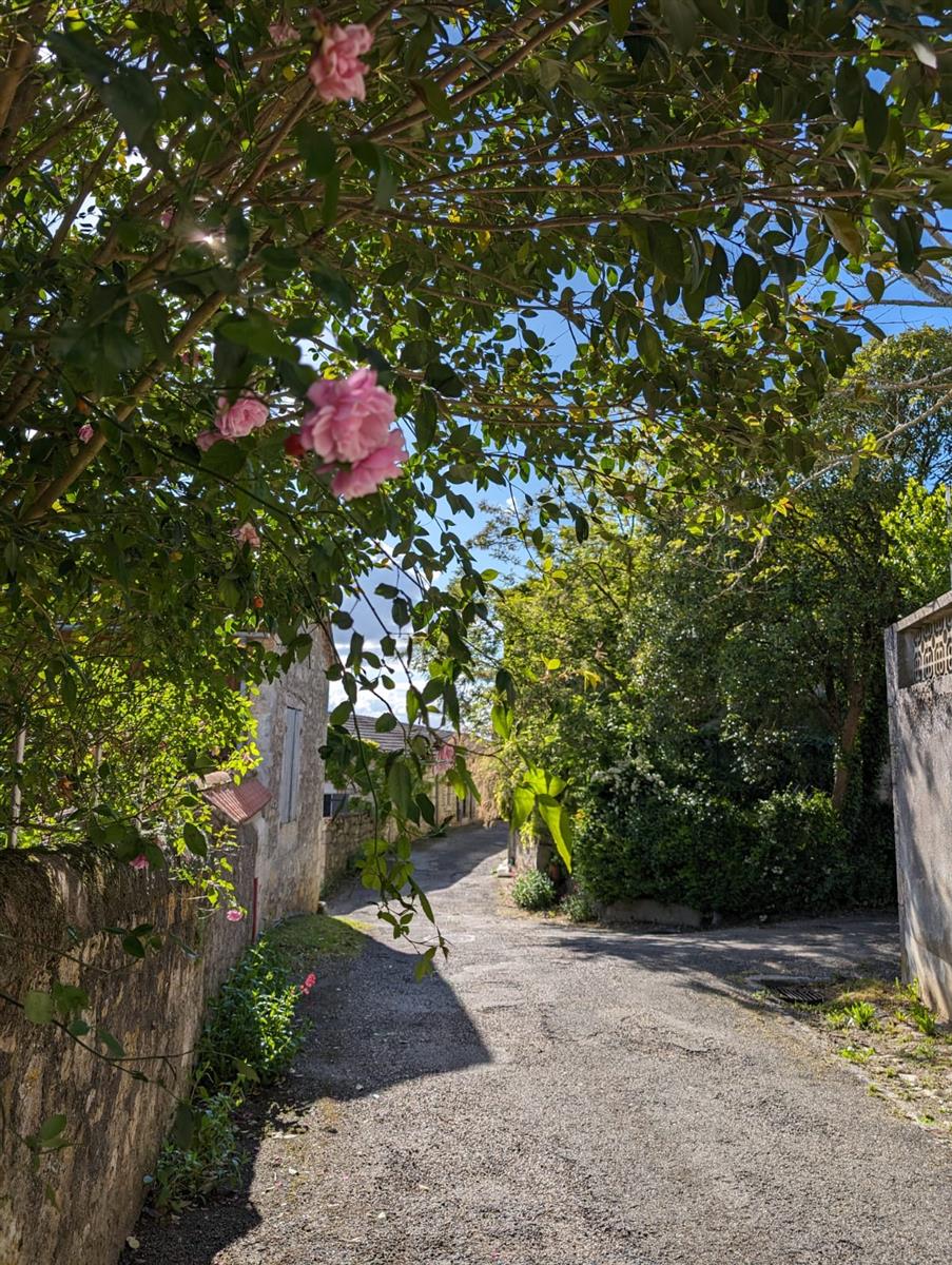 Octobre rose à Sainte-Colombe-en-Brulhois