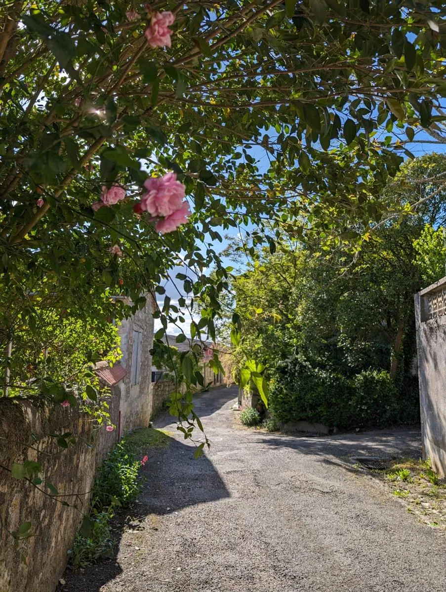 Octobre rose à Sainte ... - Crédit: Destination Agen | CC BY-NC-ND 4.0