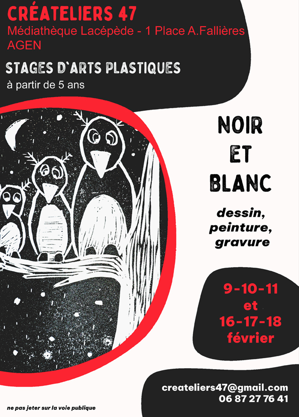 Stage d'Hiver : Noir et Blanc