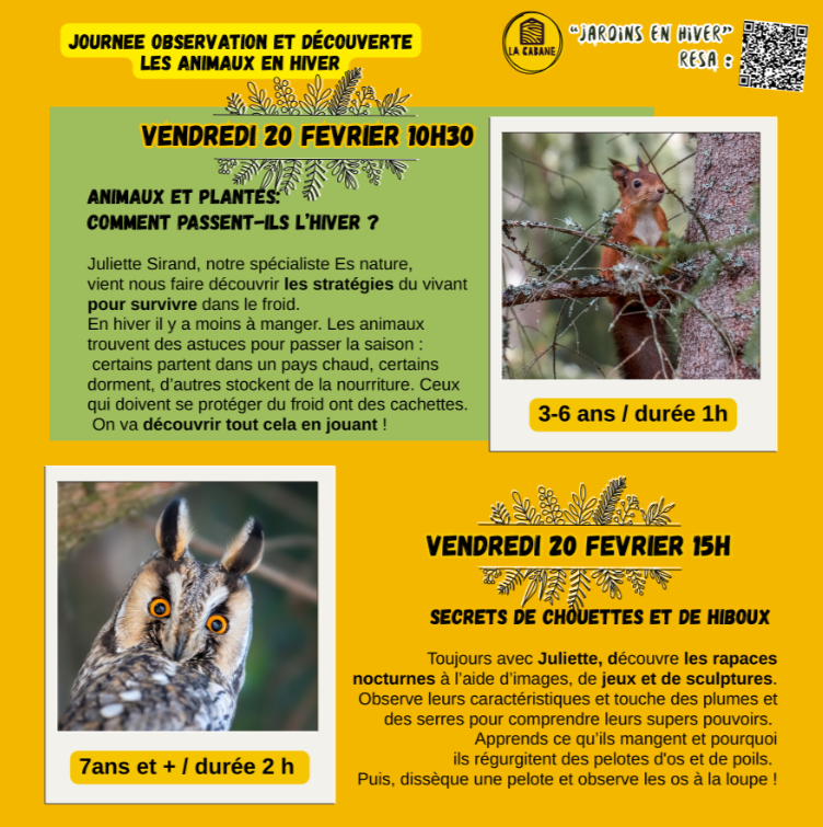 Animaux et plantes : comment passent-ils l'hiver ?