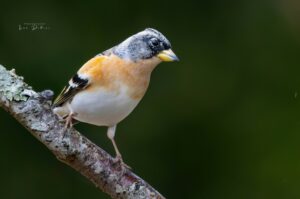 Esposition photo et peinture