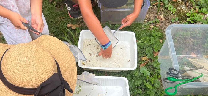 Animation nature en famille : Les anim'eau de  ...