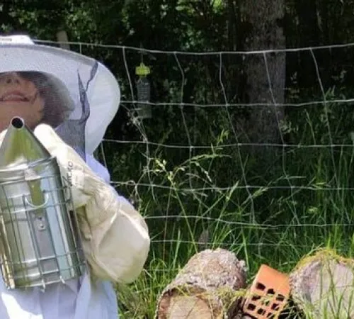 Animation nature en famille : Nos amies les abeilles