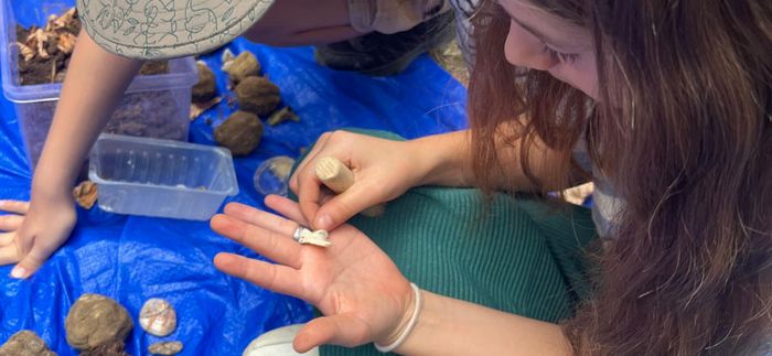 Animation nature en famille : Sur la piste des ...