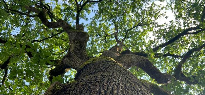 Animation nature en famille : Les murmures du  ...
