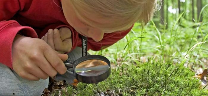 Animation nature en famille : Détectives anima ...