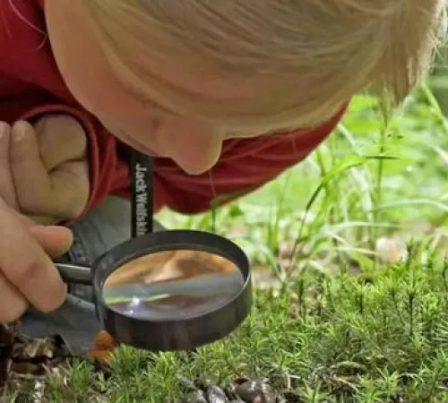 Animation nature en famille : Détectives animaliers