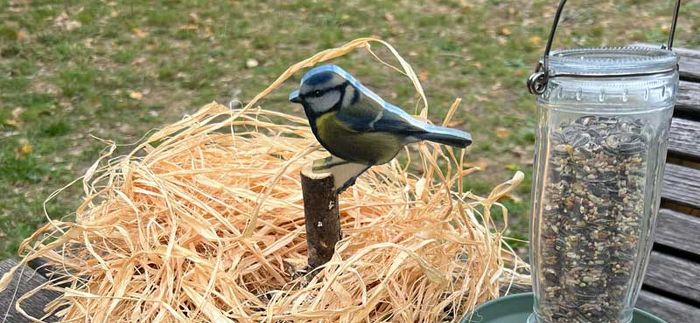 Animation nature en famille : Coup de pouce au ...