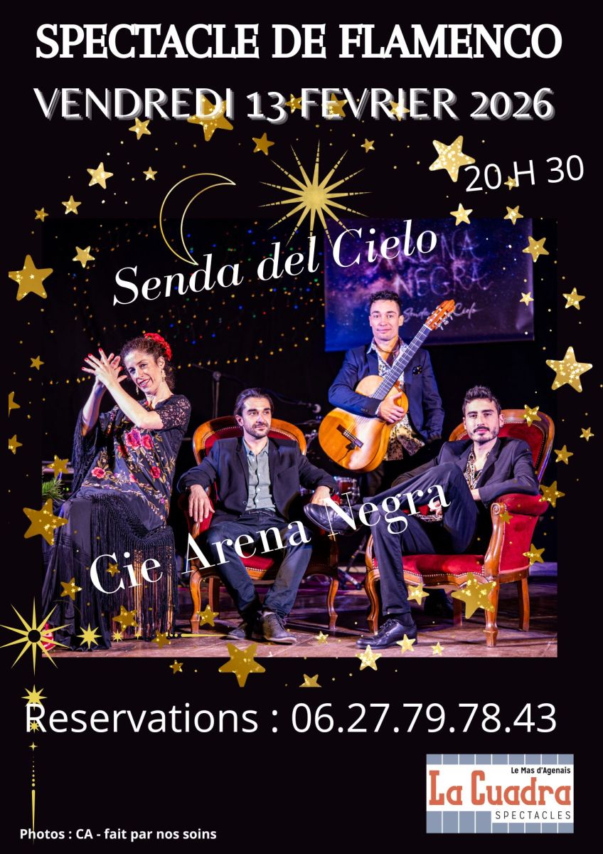 SPECTACLE DE FLAMENCO