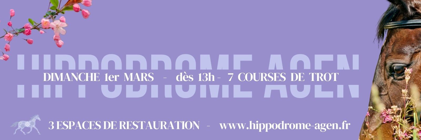 Sport équestre, spectacle et restaurant